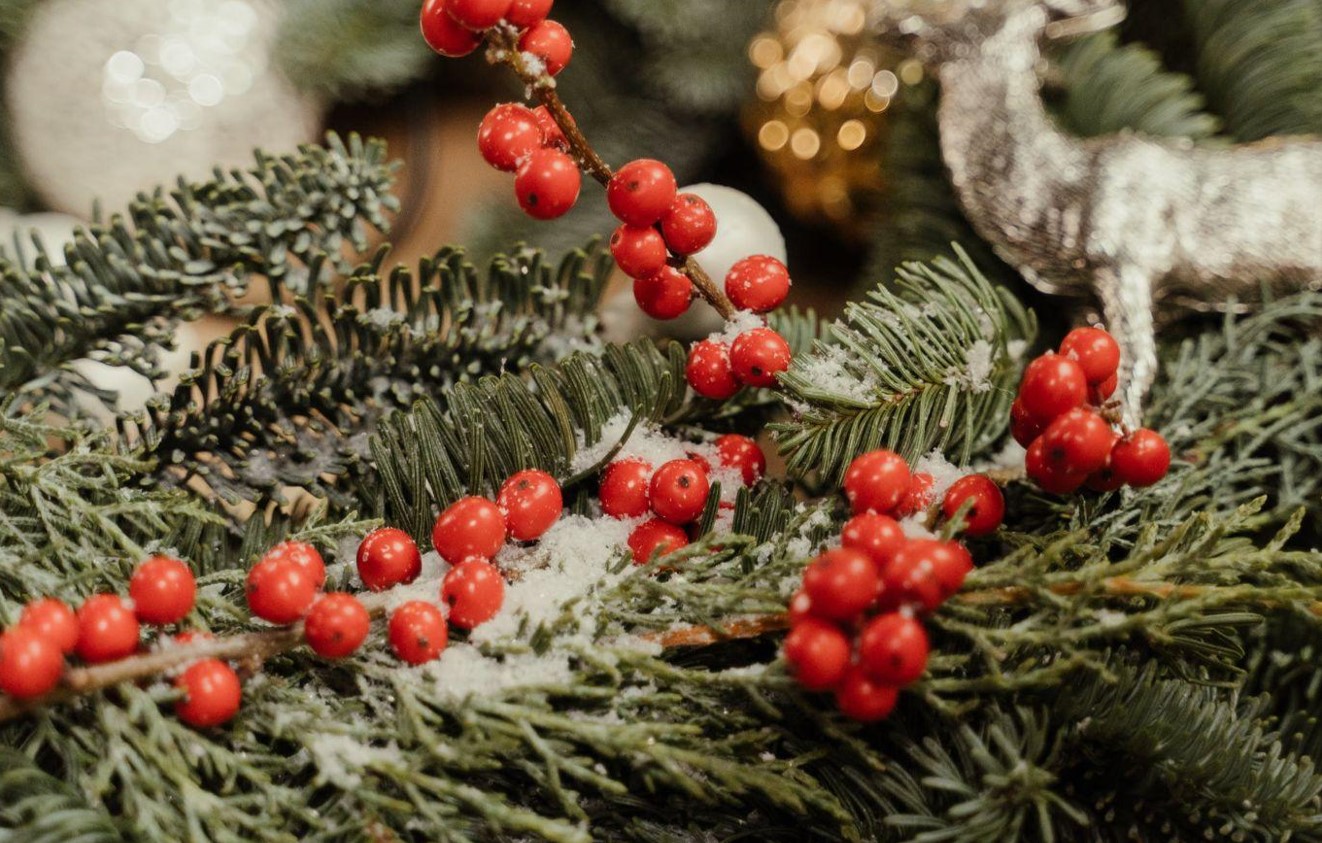 Flocked Christmas Trees for Holiday Memories